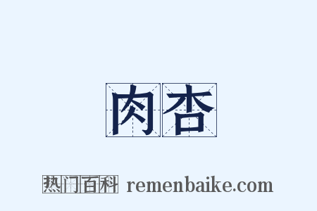 肉杏是什么意思的图片